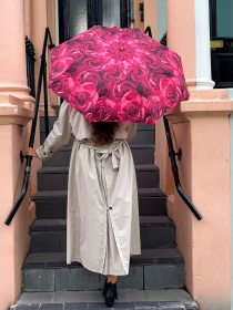 Зонт Fulton Umbrellas Open & Close-3 модель L346-020388 Зонт Fulton Umbrellas Open & Close-3 модель L346-020388 Фото