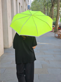 Зонт Fulton Umbrellas Ultralite-1 модель L353-040881 Фото