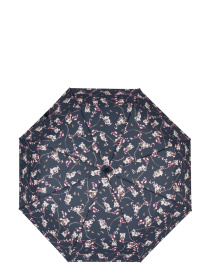 Зонт Fulton Umbrellas Minilite-2 модель L354-039380 Зонт Fulton Umbrellas Minilite-2 модель L354-039380 Фото