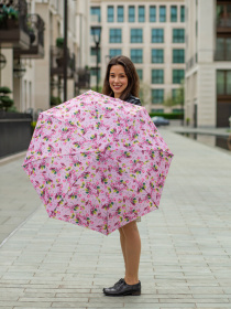 Зонт Fulton Umbrellas Minilite-2 модель L354-041161 Фото