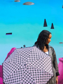 Зонт Fulton Umbrellas Minilite-2 модель L354-041901 Фото