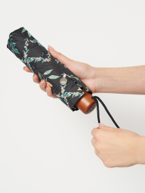 Зонт Fulton Umbrellas Minilite-2 модель L354-041918 Фото