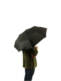 Зонт Fulton Umbrellas Deluxe-1 модель L449-000274 Фото