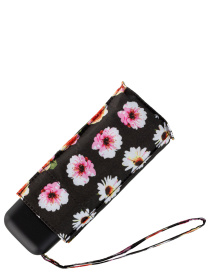 Зонт Fulton Umbrellas Tiny-2 модель L501-036686 Фото