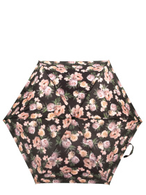 Зонт Fulton Umbrellas Tiny-2 модель L501-039724 Фото