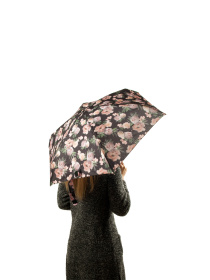 Зонт Fulton Umbrellas Tiny-2 модель L501-039724 Фото