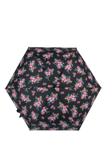 Зонт Fulton Umbrellas Superslim-2 модель L553-038826 Фото