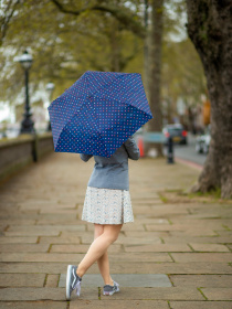 Зонт Fulton Umbrellas Superslim-2 модель L553-041239 Фото