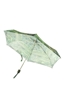 Зонт Fulton Umbrellas The National Gallery Tiny-2 модель L794-031896 Фото