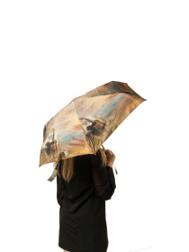 Зонт Fulton Umbrellas The National Gallery Tiny-2 модель L794-031926 Зонт Fulton Umbrellas The National Gallery Tiny-2 модель L794-031926 Фото