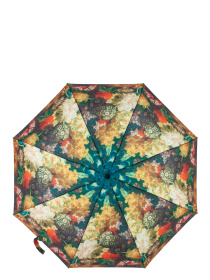 Зонт Fulton Umbrellas The National Gallery Minilite-2 модель L849-034552 Фото