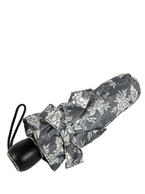 Парасольки Fulton Umbrellas Diamond Marquise модель L852-035122 Фото