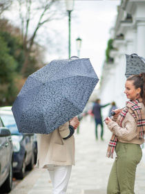 Зонт Fulton Umbrellas Diamond Marquise модель L852-040157 Фото