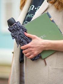 Зонт Fulton Umbrellas Diamond Marquise модель L852-040157 Фото