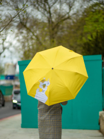Зонт Fulton Umbrellas The National Gallery Minilite-2 модель L884-040171 Фото