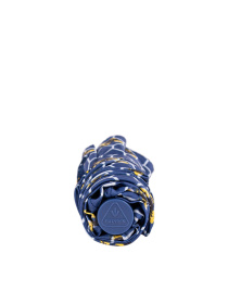 Зонт Fulton Umbrellas Eco Planet модель L905-039533 Фото