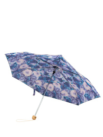 Зонт Fulton Umbrellas Eco Planet модель L905-039540 Фото