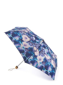 Зонт Fulton Umbrellas Eco Planet модель L905-039540 Фото