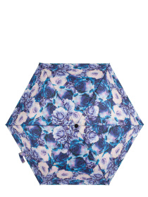 Зонт Fulton Umbrellas Eco Planet модель L905-039540 Фото