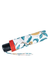 Зонт Fulton Umbrellas Minilite-2 модель L907-040447 Фото