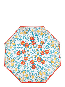 Зонт Fulton Umbrellas Minilite-2 модель L907-040447 Фото