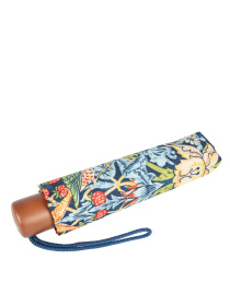 Зонт Fulton Umbrellas Minilite-2 модель L907-040669 Фото