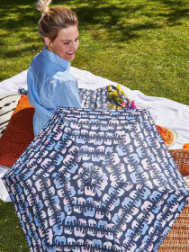 Зонт Fulton Umbrellas Eco Planet модель L918-039830 Фото