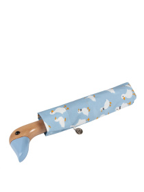 Зонт Fulton Umbrellas Curio-2 модель L926-039984 Фото