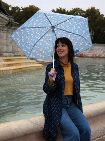 Зонты Fulton Umbrellas Curio-2 модель L926-039984 Фото