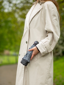 Зонт Fulton Umbrellas Mini Invertor-1 модель L930-040096 Фото