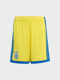 Спортивні шорти Adidas модель JZ7089 Фото