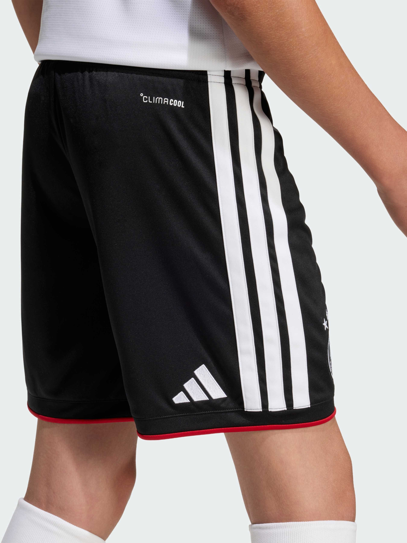 Шорты спортивные Adidas модель JZ4562 Фото