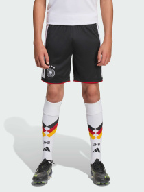 Шорты спортивные Adidas модель JZ4562 Фото