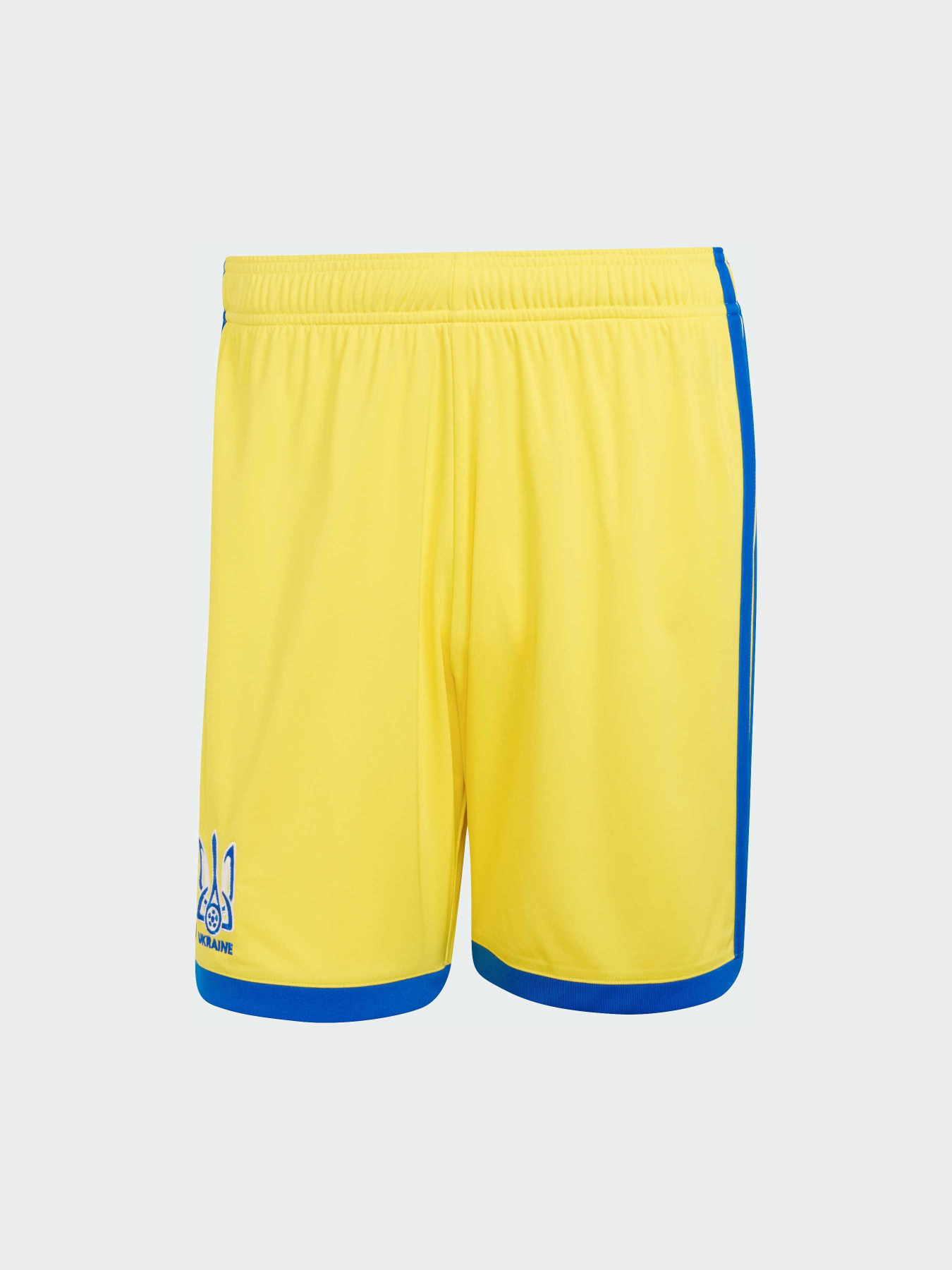 Шорты спортивные Adidas модель JZ4625 Фото