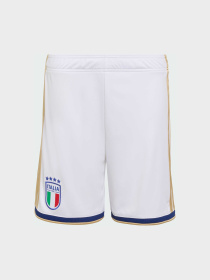 Шорты спортивные Adidas модель JY7606 Фото