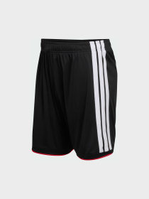 Спортивні шорти Adidas модель JN2073 Фото