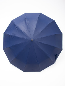 Парасолька Famo модель PK-A-6169_01 Фото