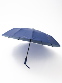 Парасолька Famo модель PK-A-6169_01 Фото