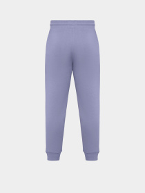 Штаны спортивные 47 Brand модель 682009PX-FS Фото