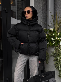 Пуховик Jadone Fashion модель Pufi_chor Фото