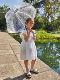 Зонт-трость Fulton Umbrellas Funbrella-2 модель C603-005835 Фото