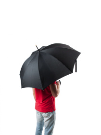 Зонт-трость Fulton Umbrellas Governor-1 модель G801-001431 Зонт-трость Fulton Umbrellas Governor-1 модель G801-001431 Фото