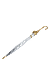 Зонт-трость Fulton Umbrellas Birdcage-1 модель L041-005804 Фото