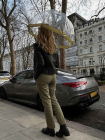 Зонт-трость Fulton Umbrellas Birdcage-1 модель L041-005804 Фото