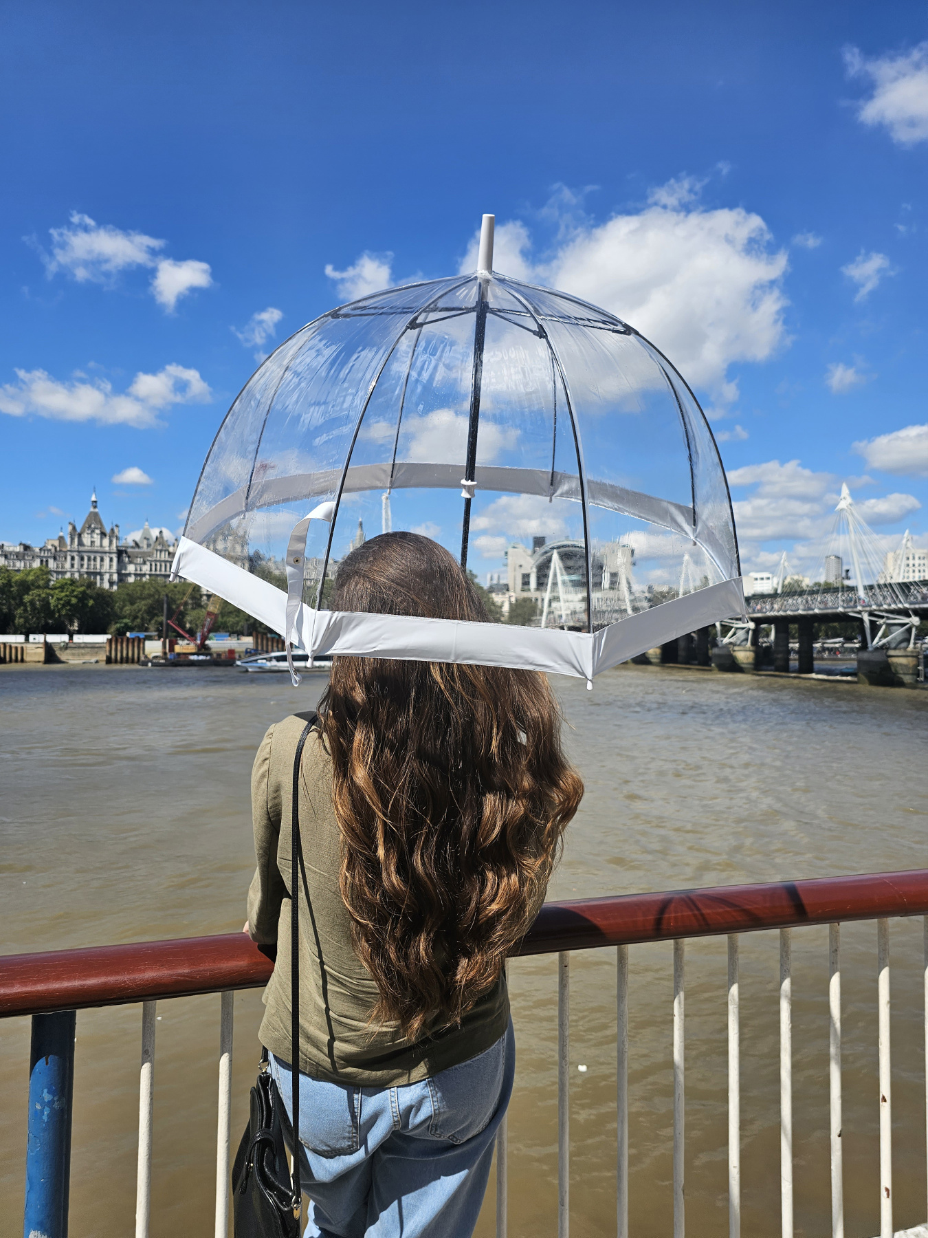 Зонт-трость Fulton Umbrellas Birdcage-1 модель L041-015582 Фото