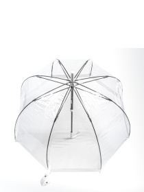 Зонт-трость Fulton Umbrellas Birdcage-1 модель L041-015582 Фото