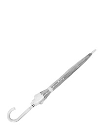 Зонт-трость Fulton Umbrellas Birdcage-1 модель L041-015582 Фото