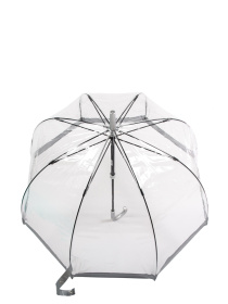 Зонт-трость Fulton Umbrellas Birdcage-1 модель L041-015599 Фото