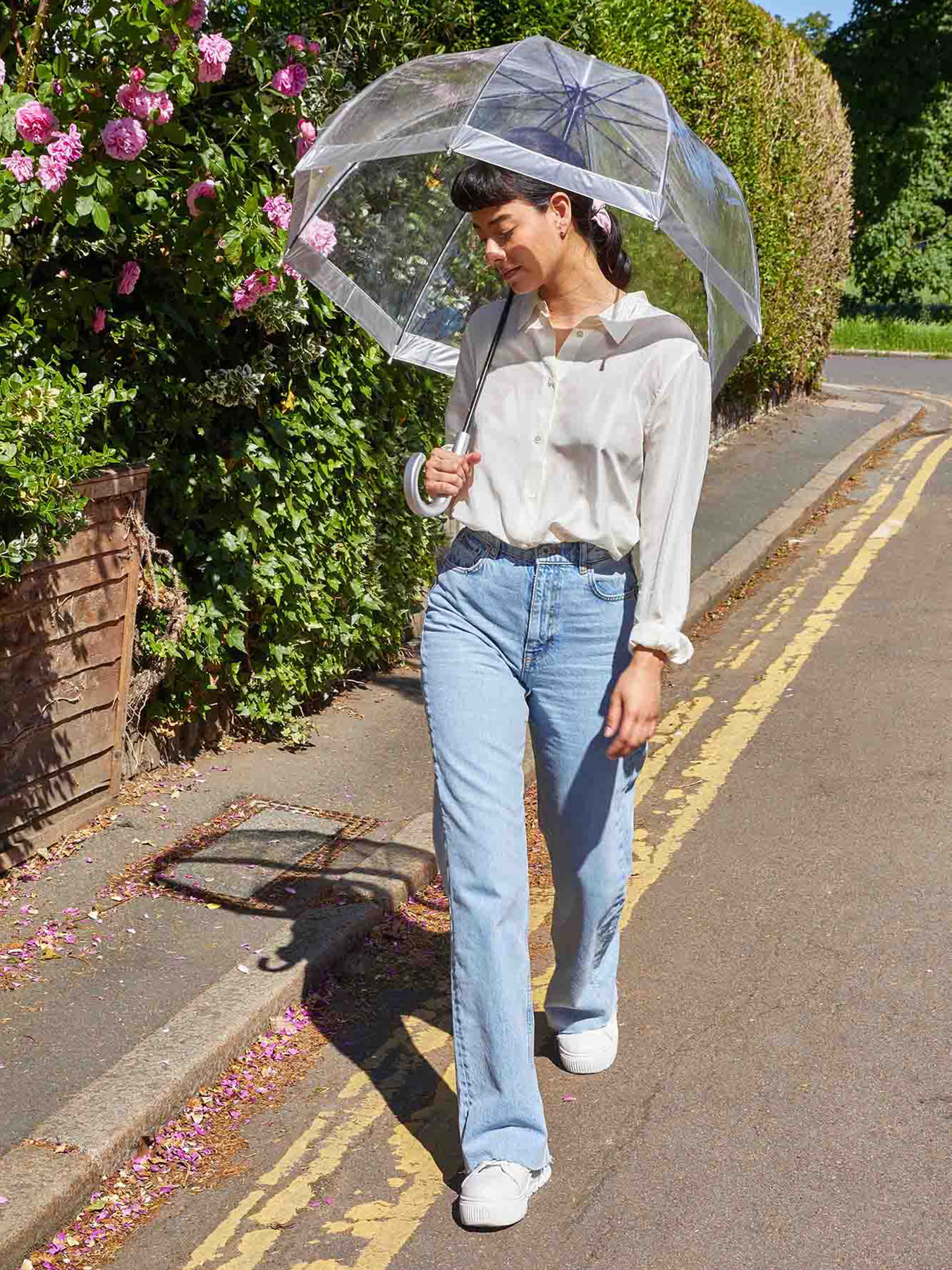 Зонт-трость Fulton Umbrellas Birdcage-1 модель L041-015599 Фото