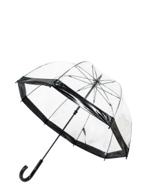 Зонт-трость Fulton Umbrellas Birdcage-1 модель L041-015605 Фото